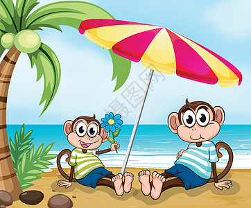 有两个猴子的海滩绘画树叶岩石郊游树干果汁水果海洋棕榈条纹图片