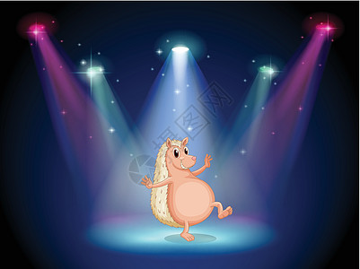 一个舞台上的摩洛猪舞图片
