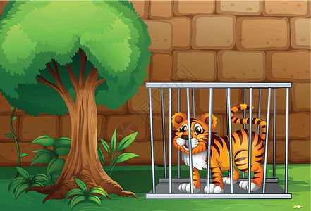 铁笼里的老虎图片