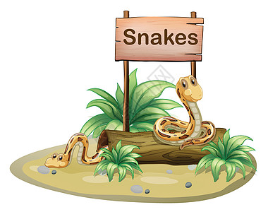 装有蛇的木制招牌板图片