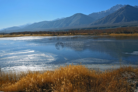 印度拉达赫山脉 岩石和溪流的地貌景观旅行墙纸叶子游客流动旅游晴天森林环境远足图片