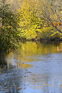 秋季风景与对水的反思图片