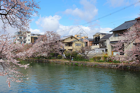 京都住宅区图片