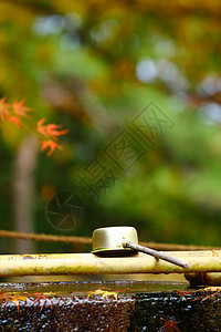 日本寺庙的竹花园红色神道公园竹子清洁精神神社纯化钢包图片