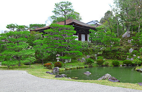 日式日本式花园石头植物宗教房子传统木头岩石叶子寺庙卵石图片