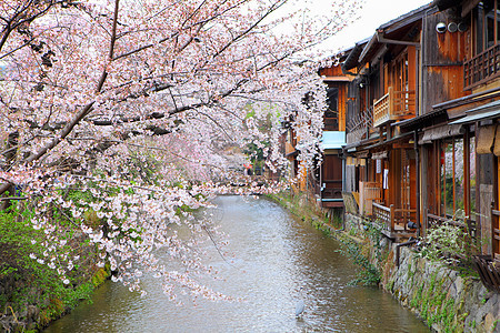 京都木木屋和山仓图片