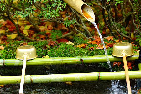 日本寺庙的拉绳传统清洁神道公园黄铜宗教神社花园手水喷泉图片