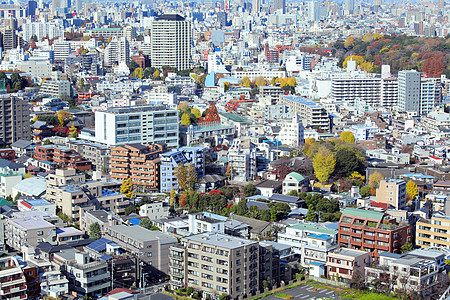 东京天际天线摩天大楼景观晴天房子城市建筑建筑学风景图片