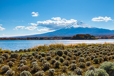 山地fuji和湖泊风景顶峰公吨火山晴天天空日落天际地标白色图片