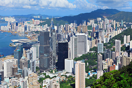 香港市风景植物晴天商业摩天大楼文化阳光公寓市中心天空天线图片