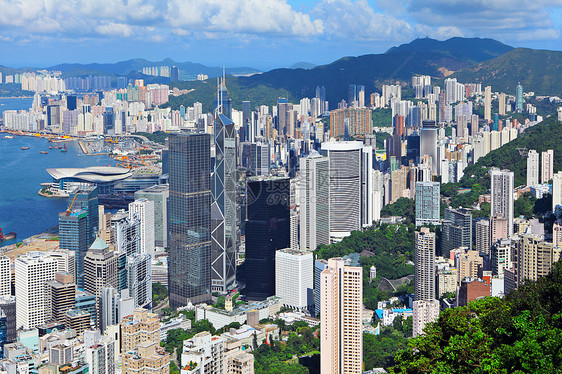 香港市风景植物晴天商业摩天大楼文化阳光公寓市中心天空天线图片