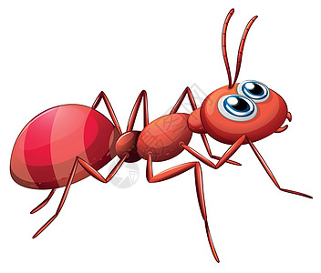 一只大蚂蚁爬来爬去图片