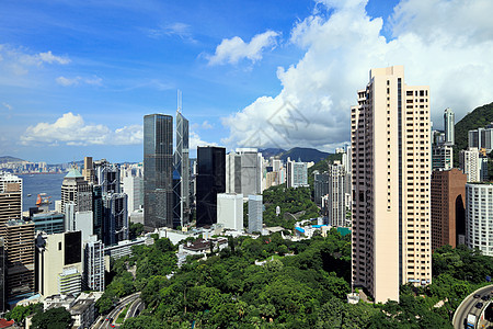 香港商业区港口办公室摩天大楼公园天线商业场景景观顶峰植物图片