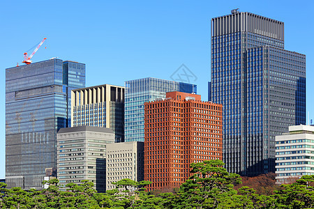 东京商业区东京植物建筑朝日景观天空天线办公室摩天大楼建筑物地标图片
