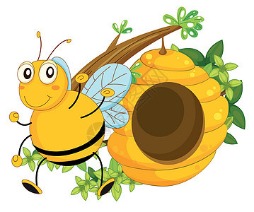 蜂蜜附近一个大蜜蜂图片