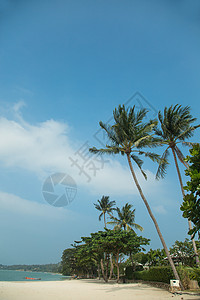 有着棕榈树的美丽的热带海滩旅游天空蓝色棕榈海岸树木天堂假期椰子海岸线图片