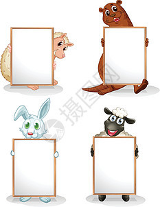 四只带空白板的动物木板生物头发双方四边形海狮招牌绘画鼹鼠微笑图片
