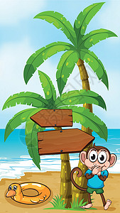 海滩上一只猴子 在棕榈树附近有只玩具图片