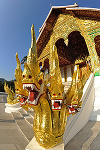 琅勃拉邦老挝皇家宫佛教寺庙博物馆文化天空宗教艺术建筑学佛教徒古董水平金子背景