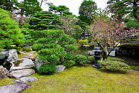 日式日本式花园园艺石头热带池塘岩石叶子房子寺庙公园天空图片