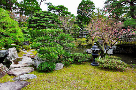 日式日本式花园园艺石头热带池塘岩石叶子房子寺庙公园天空图片