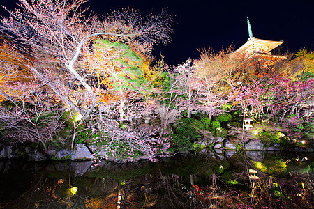 夜里有日本神庙图片