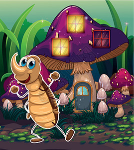 紫花蘑菇屋附近的蟑螂图片