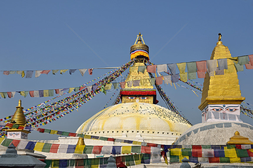 尼泊尔加德满都首府佛塔旅游观光上帝建筑学崇拜旗帜眼睛寺庙大佛图片