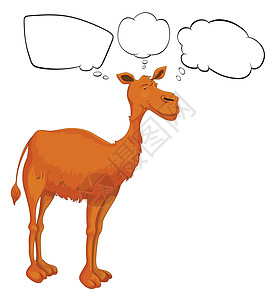 一只骆驼 带空的呼喊声吉祥物讲话气泡头发鼻子卡通片演讲思维绘画动物图片