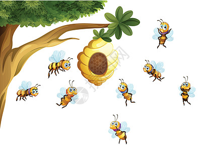 树上有一棵蜂蜜环绕着蜜蜂图片