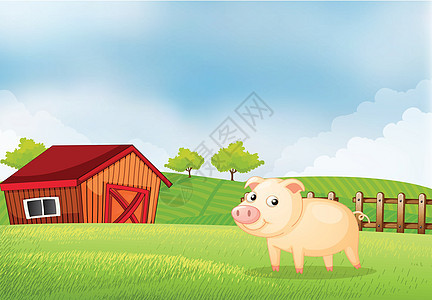 农场里一只猪 后面有木屋图片