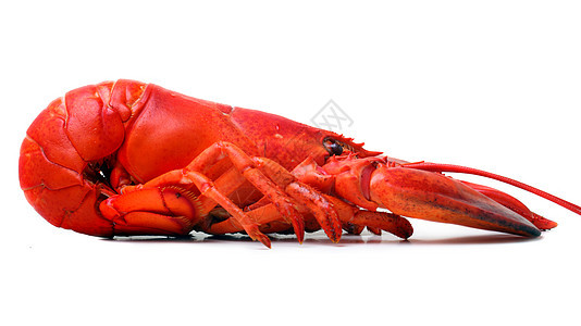 红龙虾食物甲壳红色动物贝类图片