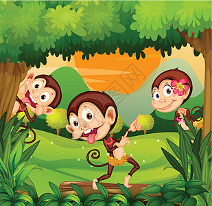 三只猴子在森林里跳舞橙子圆圈球形树叶灌木丛丘陵礼物绘画山顶舞蹈图片