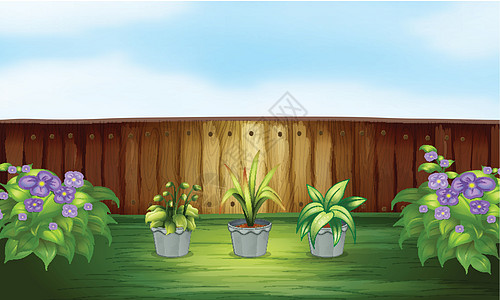 围栏内一个锅里的三个植物图片