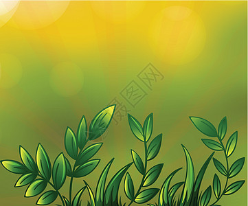 多叶植物绿色植物风格杂草种植园环境圆圈卡通片花园艺术品绘画图片