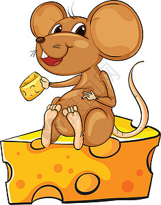 一只坐在奶酪上方的老鼠图片
