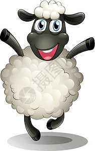 快乐的绵羊图片