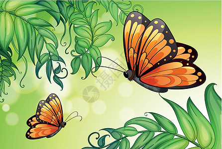 含有蝴蝶和植物的设计图片