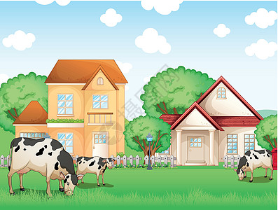三头奶牛在邻居家门口吃东西图片