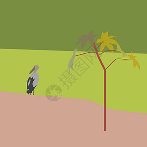 开放传管插图生活羽毛热带计费公园植物休息荒野绿色图片
