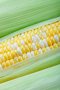 Corn 密闭图片