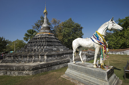 泰国南省吸引力佛塔旅游宗教天空地标寺庙兔年历史宝塔图片