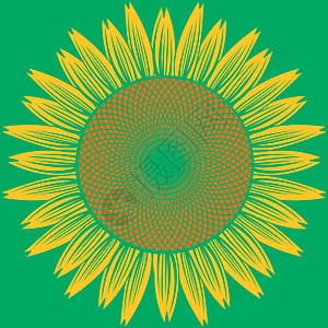 抽象太阳花向量图片