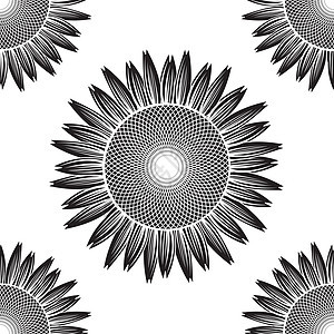 无缝黑向日葵模式矢量图片