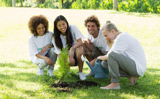 快乐的志愿者在公园植树图片