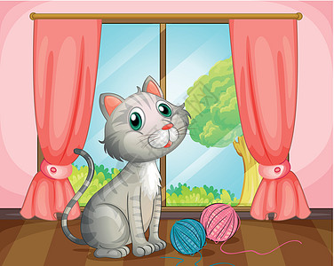 窗户旁边有只猫动物窗帘木头玩具玻璃宠物灌木丛院子猫科小猫图片