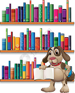 一只狗在书架前拿着一本书图片