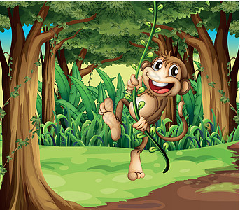 一只猴子在森林中央玩弄松树的猴儿图片