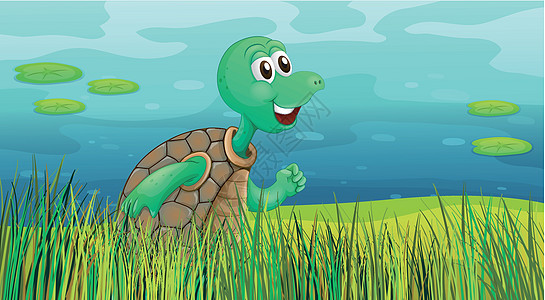 海龟沿着池塘奔跑图片