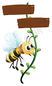 一只蜜蜂靠近空白的牌子图片